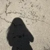 Avatar 1
