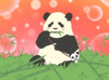Panpanda baby