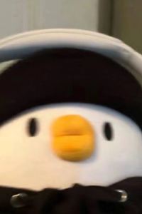 訪客用戶 新加坡濱海賓樂雅飯店優惠