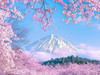 麥橘子