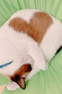 Wakana Yokouchi Alps飯店優惠