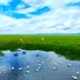 原野不尽