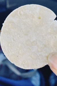 Gracedududu 帕薩迪納喜來登酒店優惠