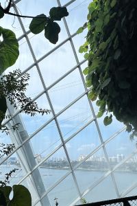 Elsie1883 久住高原 銀河のやどきのこ 2 世号 クーポン