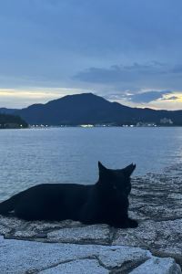 Nicolekkk 天然温泉　阿智の湯　ドーミーイン倉敷 クーポン