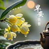 宮主