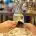 Corgiwithfood