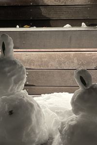 最愛旅遊 船舶花園薄野飯店優惠