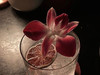 Neary_