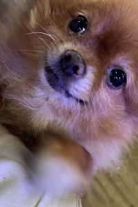 Sam2047 曼谷素坤逸凱悦酒店優惠