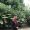 Novendra Ginting’s
