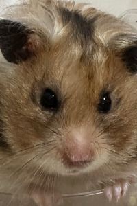 yiyi is me 薇風情汽車旅館（自由店）優惠