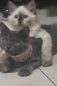 Sueirlan 阿魯娜本坦飯店優惠