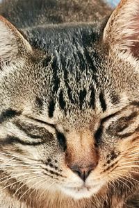 Setiadi Didi 旅巷自在輕旅優惠