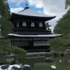 Avatar 2