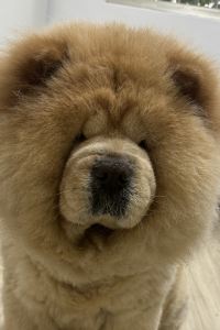 Fan  I  HSIANG 難波R飯店優惠