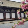 東京坊