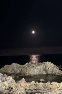 리뷰어 레브 부티크 호텔 쿠폰