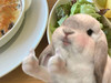 ぽよみちゃん