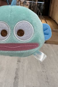 여행은 즐거워 콩