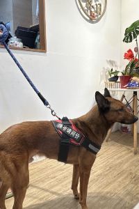 Elyse K Old School行旅 田中央旅店優惠