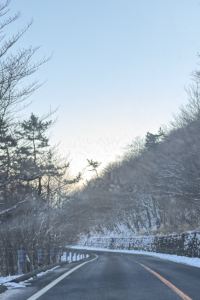 莎莉Sally ホテルメトロ- 大人限定 クーポン