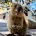 凱維森野生動物園