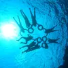 Avatar 1