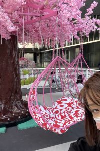 Jolly holly 花蓮維樂行旅優惠