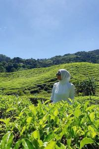 Sherybella 怡保M屋頂公寓酒店優惠