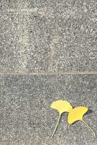 The Wanderer Above The Cloud 洛杉磯H酒店，希爾頓格芮精選酒店優惠