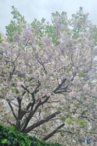 Minmin30 Dawoo House 2 in Hongdae優惠