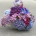 coconut-blueberry