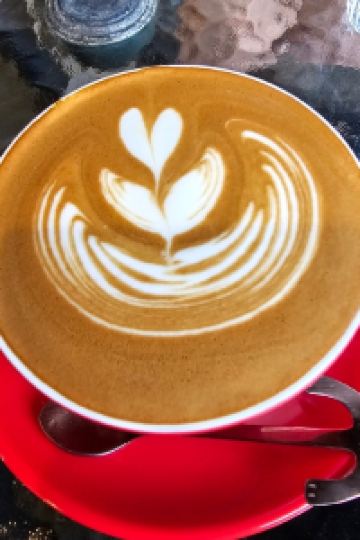 z夜神月 臺中心戀逢甲優惠