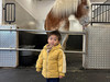 johnhung
