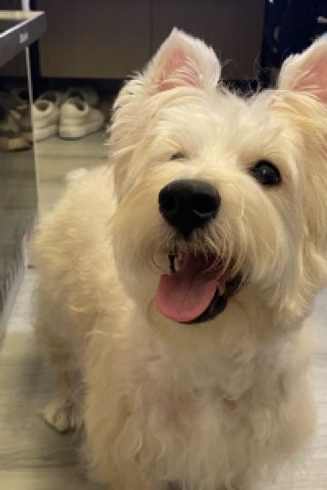 訪客 台北北投麗禧温泉酒店優惠