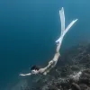 Avatar 2