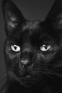 KingGalvan 馬尼拉崇光輕軌紀念館站酒店優惠