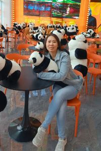 Vizzie Loto 檳城喬治市彩鴻飯店優惠