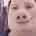 Julodc