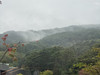 annachoi