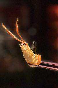 wltraveller 舊金山機場皇冠假日飯店優惠