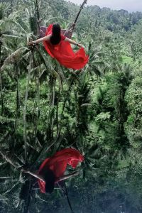 巴昆 香港星星酒店優惠