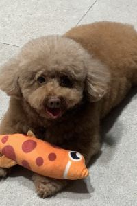 Steven0205 千秋閣飯店優惠