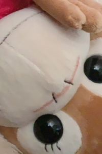 みどりみどり こんぴら温泉　貸切湯の宿　ことね クーポン