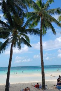 까꿍이와배비서