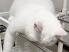 야도란도란이