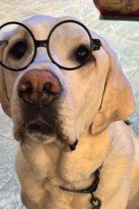 For Dor 哈爾施塔特歷史酒店優惠