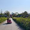 worldtravellover