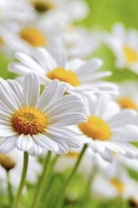 隨喜 港灣國際公寓（北京東直門三里屯店）優惠